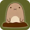 Catch the Mole