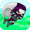 Flying Ninja