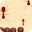 Smash All Ants