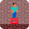 Steve Red Dark